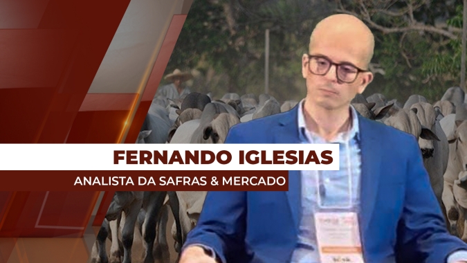 Abates de gado em janeiro foram recorde para o mês neste 2025