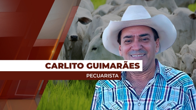 Preço da arroba do boi em MT supera SP  com cenário de  oferta restrita por conta do ataque severo de cigarrinha nas pastagens