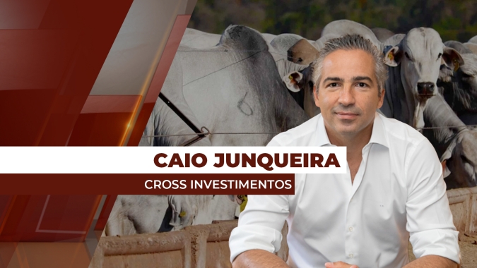 Oferta de fêmeas segue exercendo pressão baixista nos preços da arroba do boi gordo