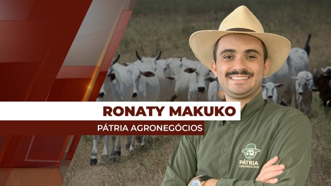 Preço da arroba no MT chega a R$ 330,00 com pouca oferta de animais