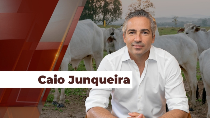 Após queda abrupta na arroba do boi futuro, analista recomenda observar comportamento da indústria nos próximos dias