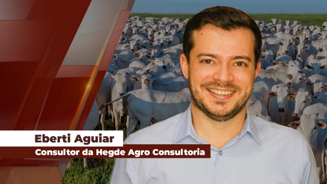 Carne no atacado em alta estabelece novo teto para arroba do boi com potencial para buscar patamares acima dos R$360