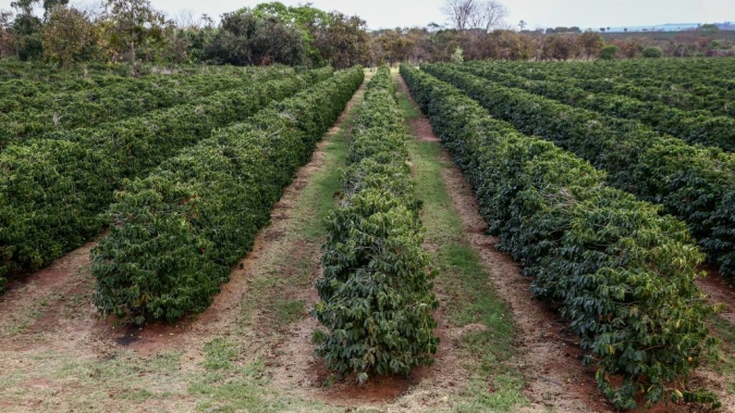 Boletins da Secretaria de Agricultura para o início de 2026 apontam chuvas até abril e orientam manejo do solo com cuidados redobrados