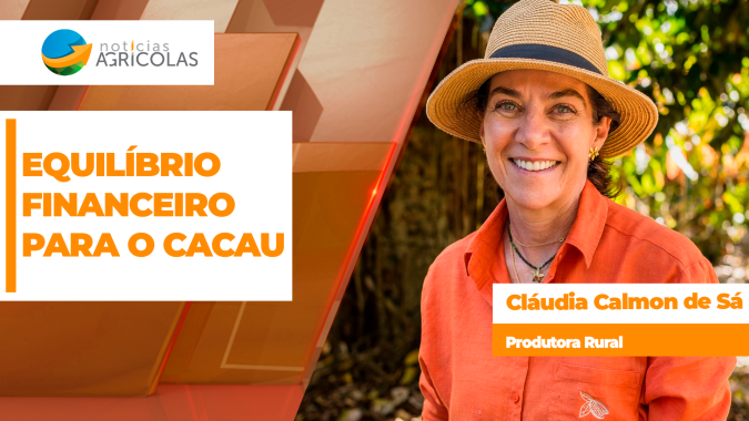 Produtor de cacau possui dificuldade em encontrar equilíbrio financeiro sem produtividade