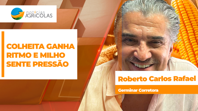 Com melhora do clima no Brasil, colheita do milho começa a ganhar ritmo e mercado deve sentir pressão nas cotações