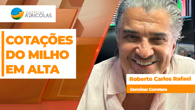 Soma de fatores positivos devem manter cotações do milho em alta em Chicago e no Brasil