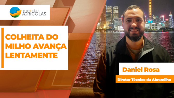 Abramilho destaca colheita do milho avançando lentamente e alerta para problemas de qualidade do grão