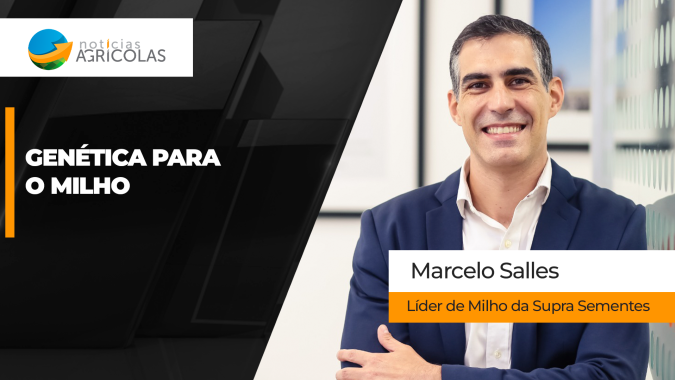 Como a genética pode ser o próximo salto de produtividade para o milho