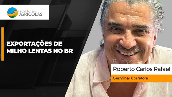 Exportações brasileiras de milho contidas limitam melhora nos preços do grão; demanda interna segue forte'