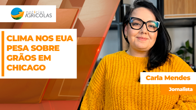 Soja fecha 2ª feira com forte baixa na Bolsa de Chicago na carona do milho e pressionada pelo clima bom no Corn Belt