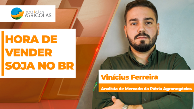 Preços da soja seguem dando oportunidade de vendas no Brasil, seja por Chicago ou pelo dólar