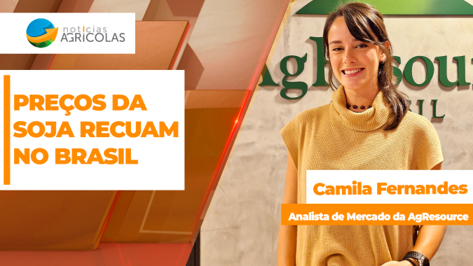 Preços da soja caem no Brasil com baixa forte do dólar e negócios voltam a esfriar