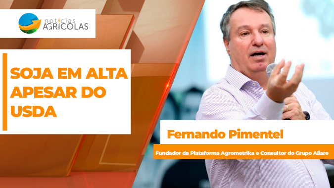 Apesar do USDA "baixista", soja sobe em Chicago nesta 3ª, esperando números mais pesados