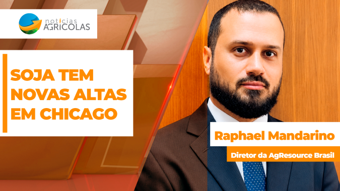 Soja volta a subir em Chicago nesta 4ª feira e, combinada com alta do dólar, puxa preços no Brasil