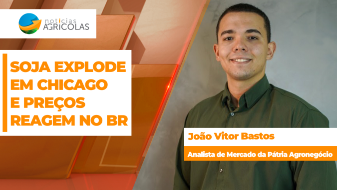 Estoques curtos e prêmios firmes sustentam a soja no Brasil em meio a nova disparada em Chicago