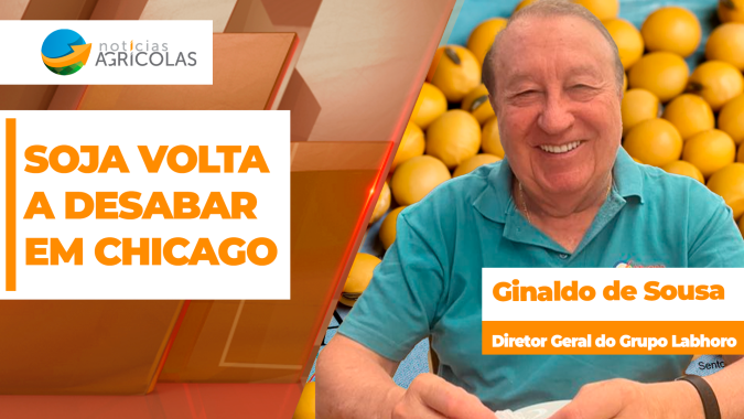 Soja desaba mais de 30 pts em Chicago, perde os US$ 12, preços caem também no Brasil e trava negócios nesta 4ª feira