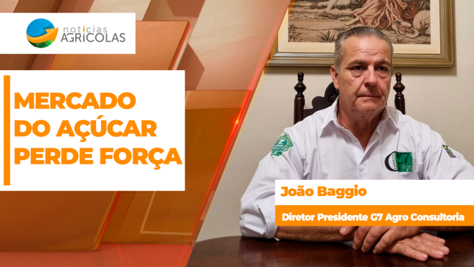 Mercado do açúcar perde força após Índia reduzir importações; safra brasileira deve crescer em 26/27