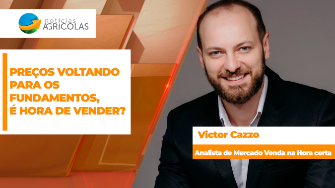 Soja: Preços voltando para os fundamento, é hora de vender?