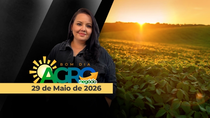 BOM DIA AGRONEGÓCIO - EDIÇÃO 29-05-2026