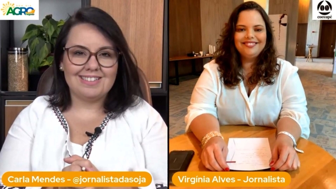 Com cenários distintos entre lavoura, mercado em NY e logística que volta ao radar, arábica mantém pressão e negociação travada