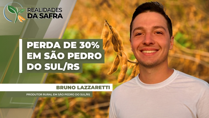 Após quase 30 dias sem chuvas, soja perdeu pelo menos 30% do potencial produtivo em São Pedro do Sul/RS