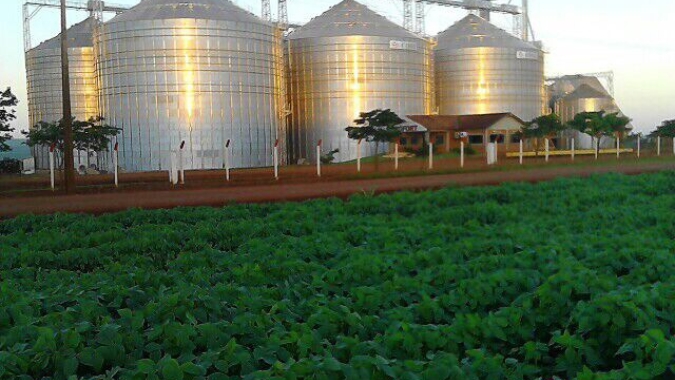 Capacidade de armazenagem agrícola cresce 1,5% e chega a 183,3 milhões de toneladas no 2º semestre de 2021