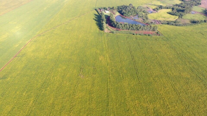 Projeto cria linha de crédito para descendente de agricultor familiar comprar terra