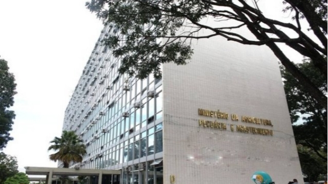 Chamada Pública Conjunta Bioeconomia Brasil-Alemanha recebe propostas de projetos de bioeconomia