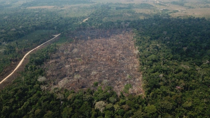 Preservação da Amazônia será tema de sessão temática no Plenário do Senado