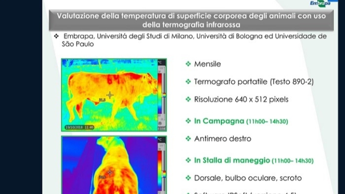Não invasiva, termografia é usada para monitorar bem-estar animal