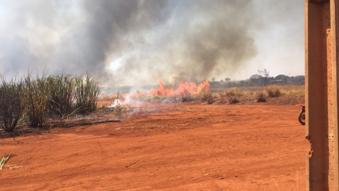 Deputados da FPA cobram atuação concreta de ministra do Meio Ambiente sobre incêndios no país
