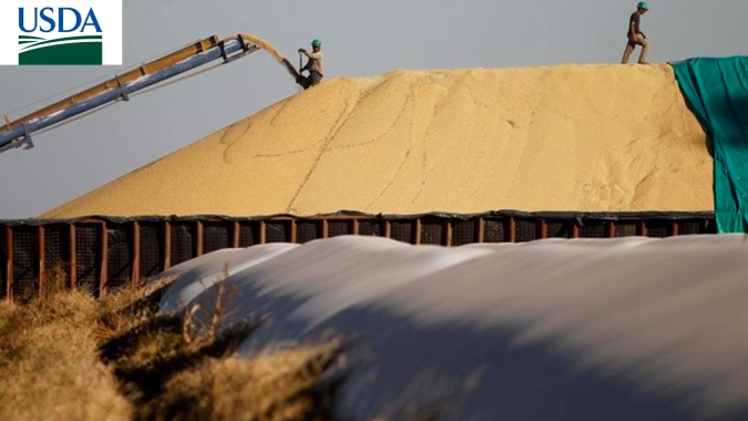 USDA: Vendas semanais de soja dos EUA vêm fracas e nas mínimas do ano comercial