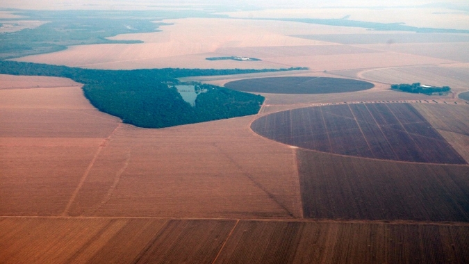 Com sensibilidade e comprometimento, produtoras e trabalhadoras rurais ampliam espaço no agro de MS