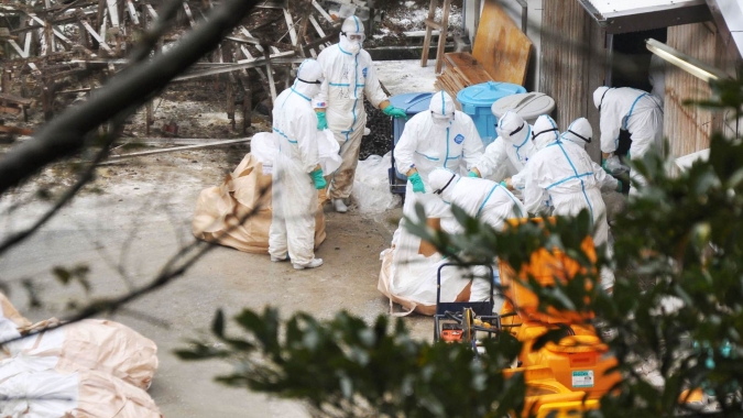China registra primeira morte humana no mundo por gripe aviária H3N8, diz OMS