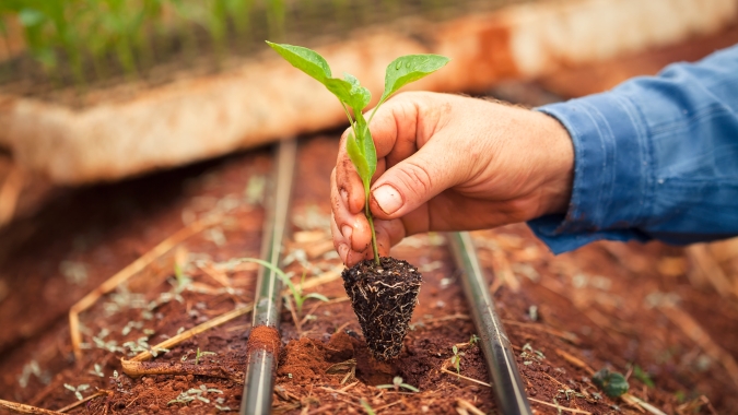 Governo do Amapá recebe resultados preliminares do Projeto Zoneamento Ecológico-Econômico do Amapá (ZEE)