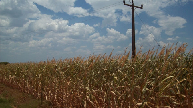 Inmet: Chuvas amenizam a estiagem em áreas produtoras de milho do Paraná e Mato Grosso do Sul