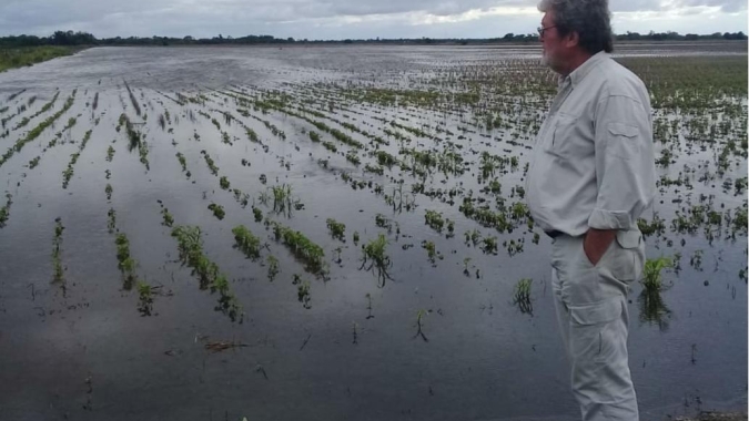 Argentina: chuvas retornam e trazem problemas para a colheita