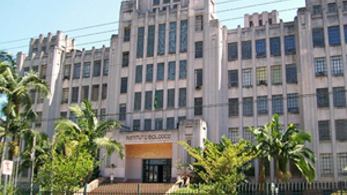 Projeto premiado do Instituto Biológico revoluciona diagnóstico de doenças virais em aves