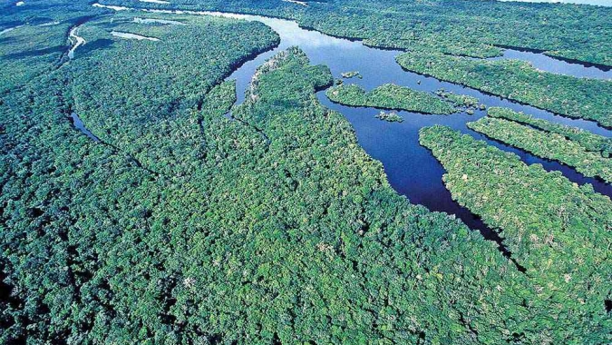 Premiê do Reino Unido diz a Lula que contribuirá com R$500 mi para Fundo Amazônia