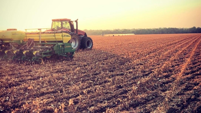Mato Grosso do Sul consegue avançar com plantio da soja e recomendação da Aprosoja é foco 100% nesta safra