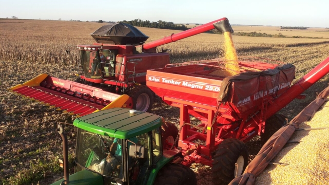 Com 89,8% do milho colhido, Argentina tem média de produtividade de 116,67 sc/ha, aponta Bolsa de Buenos Aires