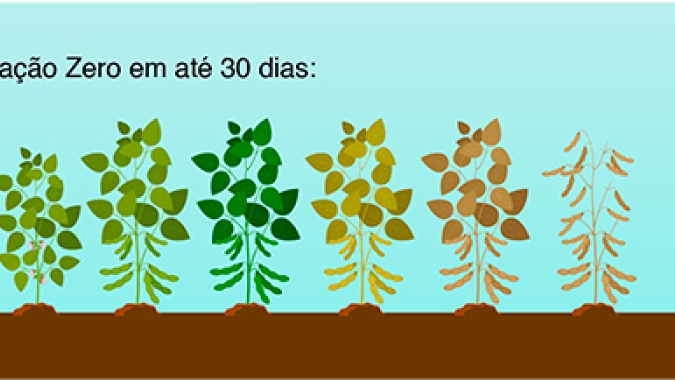 Gigantes ChemChina e Sinochem fundem ativos de agronegócio e formam a nova Syngenta