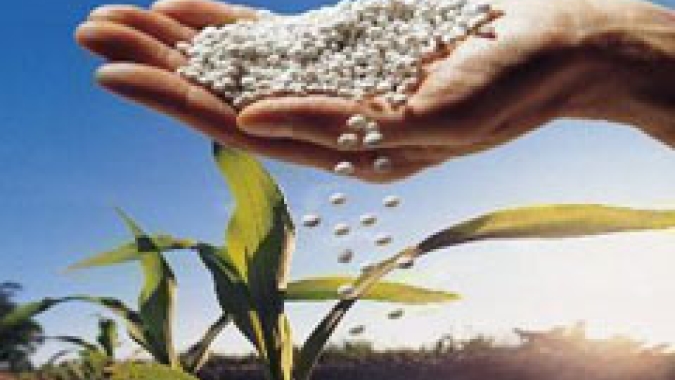 Câmara Temática de Insumos Agropecuários realiza primeira reunião do ano e fortalece elo entre produtor e indústria