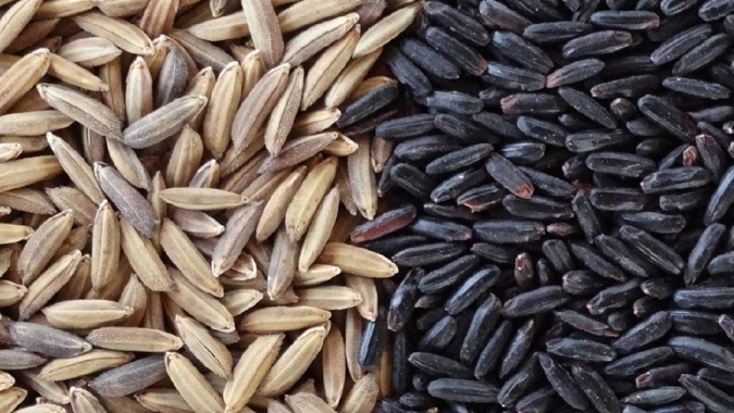 Ciência confere assinatura química que agrega valor ao arroz preto produzido no Brasil