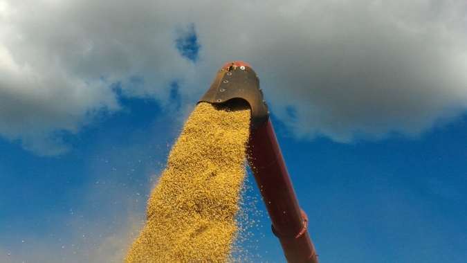 Colheita de soja ganha impulso em MT e leva Brasil a 17%, diz AgRural