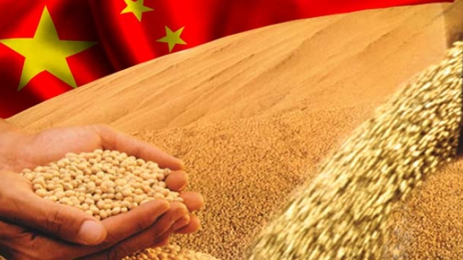 China aloca 1,1 bilhão de iuanes para apoiar produção de grãos