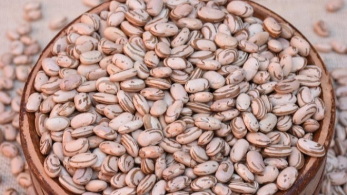Embrapa Arroz e Feijão disponibiliza aos produtores nova cultivar de feijão carioca de alta produtividade na safra e safrinha