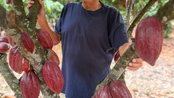 Nova Lei do Chocolate é uma vitória para o consumidor e para o cacau brasileiro