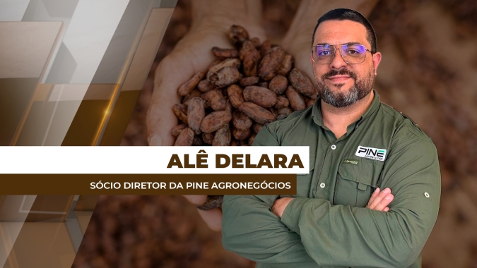Cacau em queda histórica deixa áreas produtoras em alerta para os preços