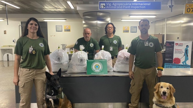 Cães farejadores do Mapa flagram produtos irregulares no aeroporto de Guarulhos